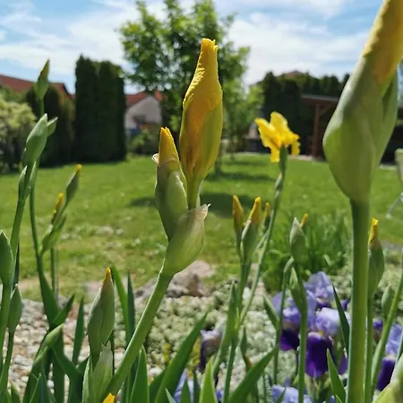 Διαμέρισμα Tarkabarka Apartman